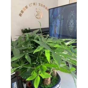 广州出租拼接屏服务46寸-55寸