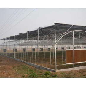 洛阳猪舍大棚 冠铁金属制品可配送 猪舍大棚厂