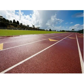 学校EPDM塑胶跑道施工 海盛新材料
