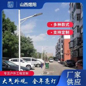 煜阳路灯生产厂家 100W太阳能路灯