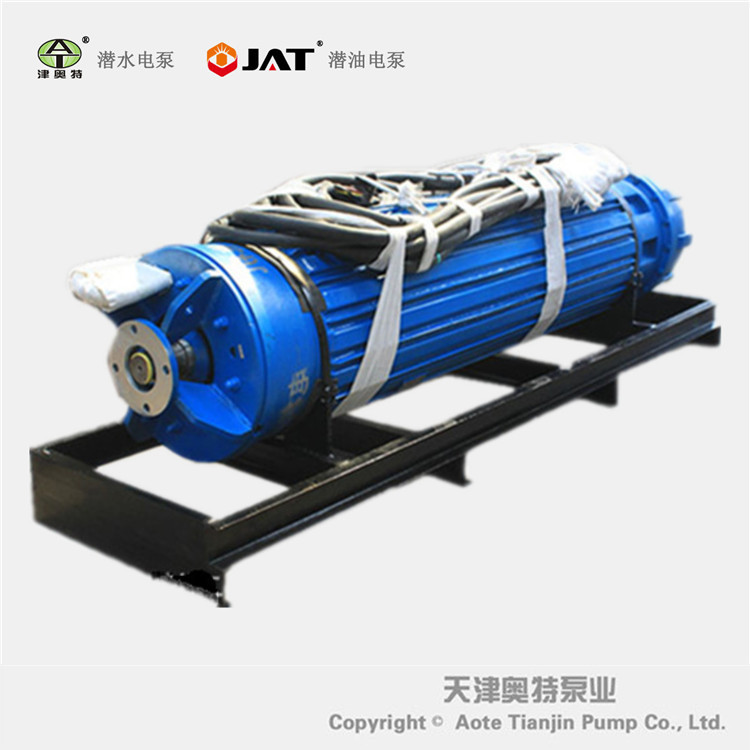 1157-10KV_540KW潛水電機_副本_副本_副本_副本.jpg