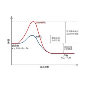 活化能检测测定，活化能第三方检测机构