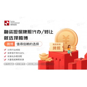 海南融资担保牌照注册前置审批要求（金融局审批）