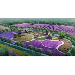 花海景观设计方案