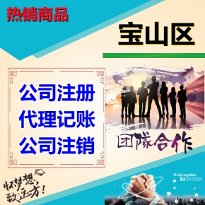 上海宝山区水产路代办公司注册 财务记账 全程代办-找我们咨询