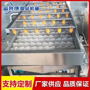 草莓不锈钢气泡清洗机厂家 诸城市富食康食品机械