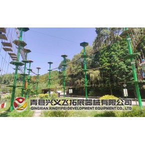 江西景区拓展游乐项目丛林探险 建造厂家