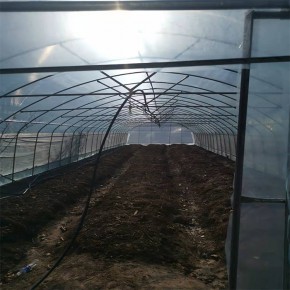 科创温室大棚  养鸡大棚搭建 新平养鸡大棚