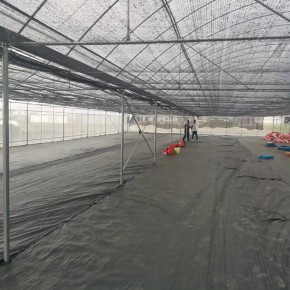 蔬菜大棚建设 蔬菜大棚 科创电动温室大棚维修 
