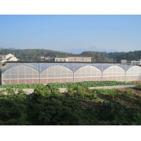 荷蘭溫室大棚案例 豐貿(mào)溫室工程單擊咨詢 黃石荷蘭溫室大棚