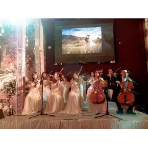 广州交响乐大小提琴商演|烛光音乐会|婚礼乐队|爵士乐队推荐