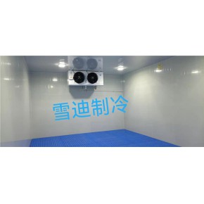 小型冷库工程安装 冷库工程 雪迪 