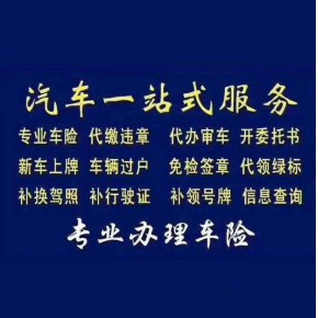 南阳汽车过户帮忙跑腿上牌,二手汽车提档,异地过户验车