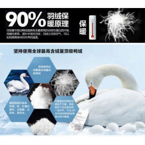 鸭毛鸭绒指标检测 羽绒检测