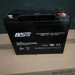 万松蓄电池SN24-12/UPS电源用蓄电池