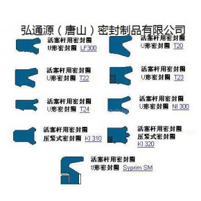 德国CFW 骨架油封