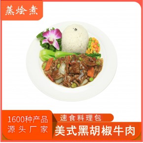 快餐料理包批发 黑椒牛肉速食方便菜肴包 中餐调理包价格