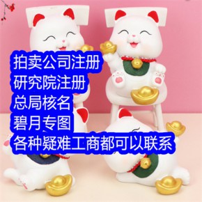 从事拍卖公司注册的流程