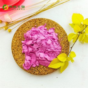 蓝莓粉加工 江苏蓝莓粉 锦橙生物 