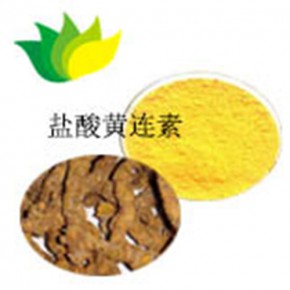 盐酸黄连素盐酸小檗碱