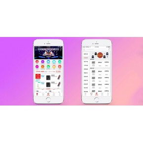 高端社交电商APP开发，选顺元年专业服务