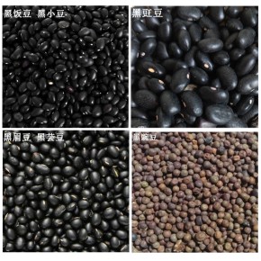 黑豆脱皮机 黑黄豆去皮机