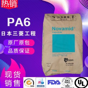 日本三菱工程PA6  光纤强化耐热1013G20