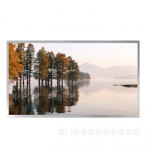 ２１.５寸液晶显示屏　１０００亮度高亮液晶模组ＬＣＤ