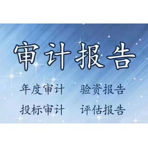 投标审计报告、银行贷款审计报告、年检审计报告、离任审计报告、行业审计报告、专项审计报告