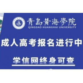 2022年黄海学院成人高考招生专业简章