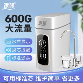 100G-1000G大流量RO反渗透纯水机