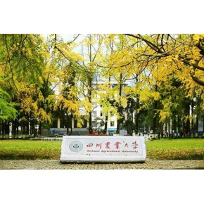 2022年四川农业大学硕士招生简章​