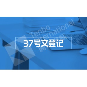 37号文登记：境内居民境外投融资及返程投资