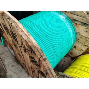 广州南洋电缆集团厂家直供YJV-0.6/1kV-1*10系列铜芯交联电力电缆！