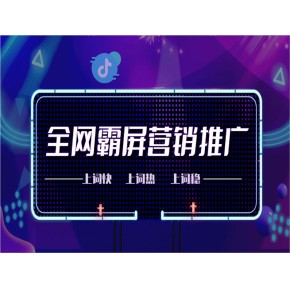 深圳市网企汇网络科技有限公司网络推广