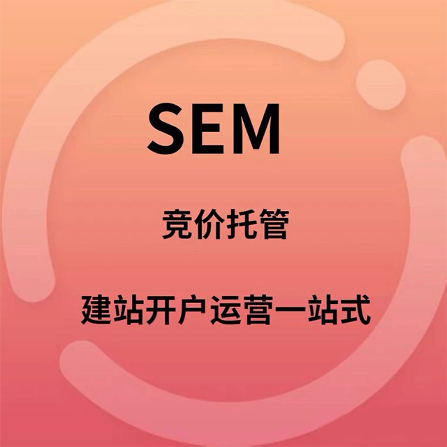 郴州做seo公司账户托管竞价外包有竞价托管公司吗