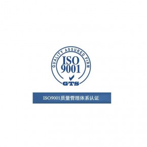 ISO认证 广东电子产品TS16949