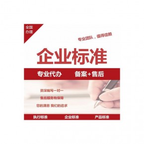 企标 无线充企业标准备案 咨询
