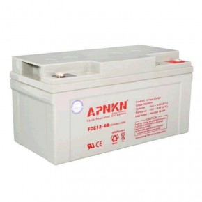 APNKN品克蓄电池FCG12-60免维护12V60AH发电站/电厂机房/直流屏蓄电池