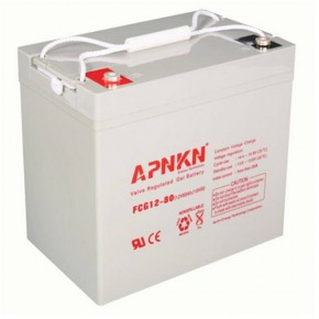 APNKN品克蓄电池FCG12-50免维护12V50AH发电站/电厂机房/直流屏蓄电池