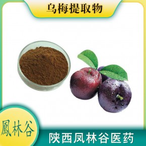 乌梅粉 食品添加剂凤林谷生产厂家