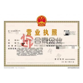 个人注册公司流程（个人注册公司需要什么条件）