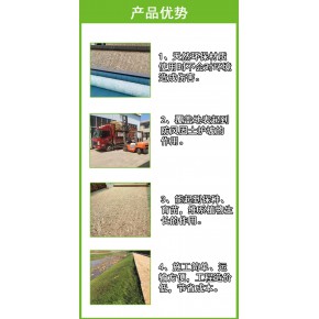 植生毯分为椰丝毯、生态草毯和抗冲生物毯，其性能为保湿保温 抗冲刷，使边坡快速绿化