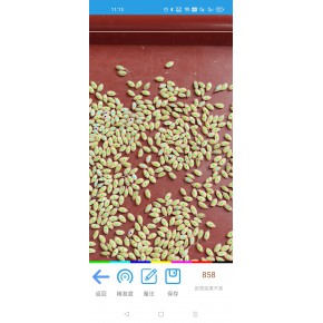 种子计数仪器