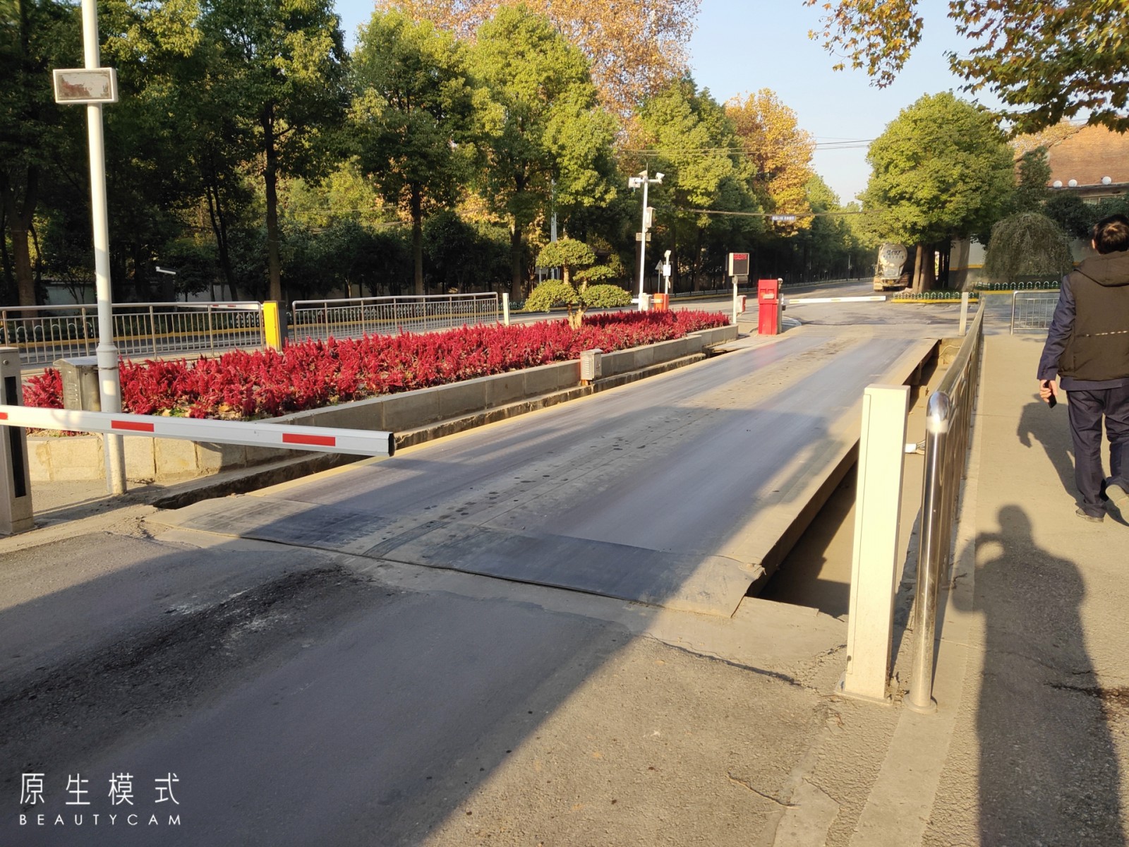 芒康地磅-芒康地磅廠家