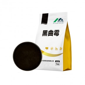 酒厂用黑曲精 10亿含量黑曲霉食品发酵