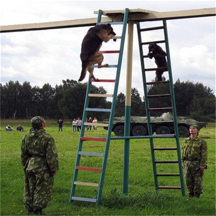 四平大型犬训练器材,搜救犬训练器材,加工