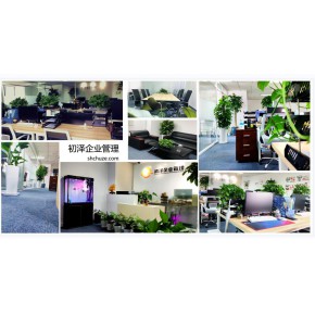 文化艺术金融衍生品牌照详细流程