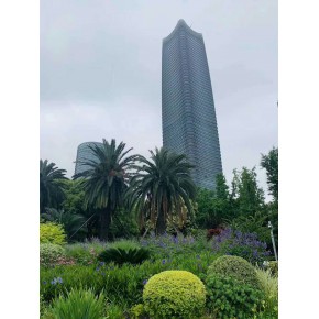 上海白玉兰广场写字楼出租 -上海白玉兰广场写字楼招商出租