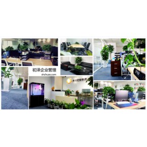 注册文化艺术品牌照步骤